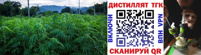 наркота  Камешково  ТГК Wax 