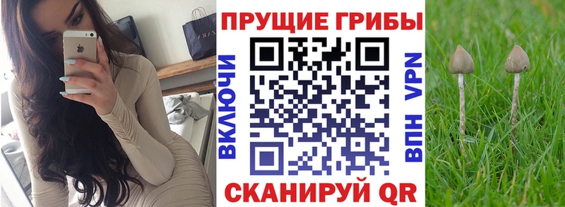 Галлюциногенные грибы Cubensis Камешково